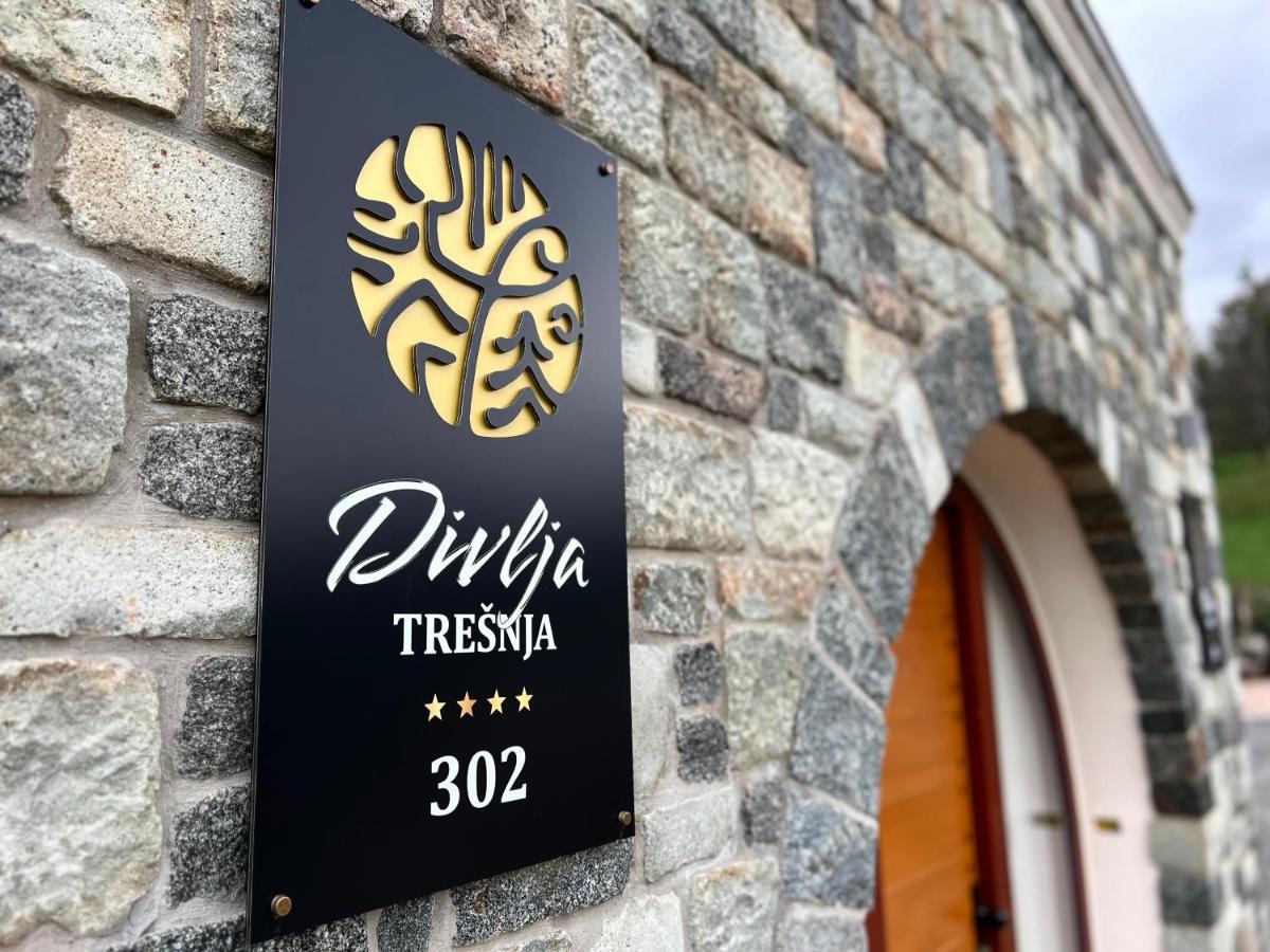Toplik Village Resort Lukavica Екстериор снимка